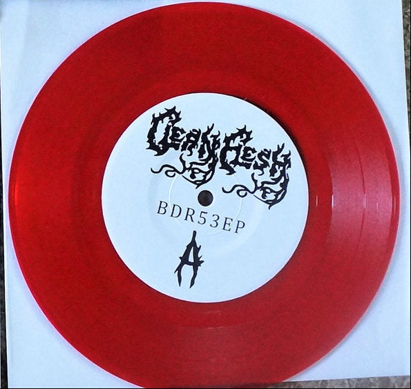 Clean Flesh - Clean Flesh (Vinyl)