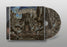 Vile Desolation - Annihilating the Consciousness