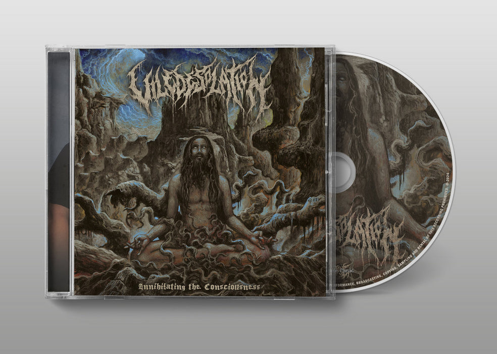 Vile Desolation - Annihilating the Consciousness