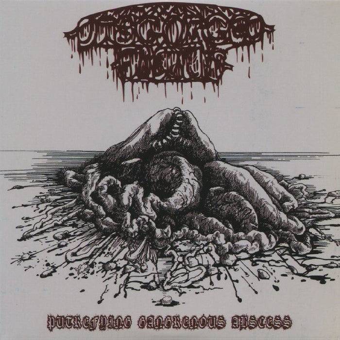 Disgorged Foetus - Putrefying Gangrenous Abscess