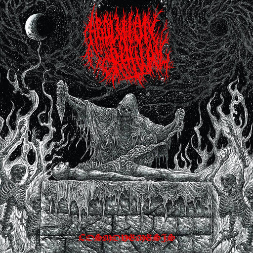 Abolition Ritual - Cosmonemesis