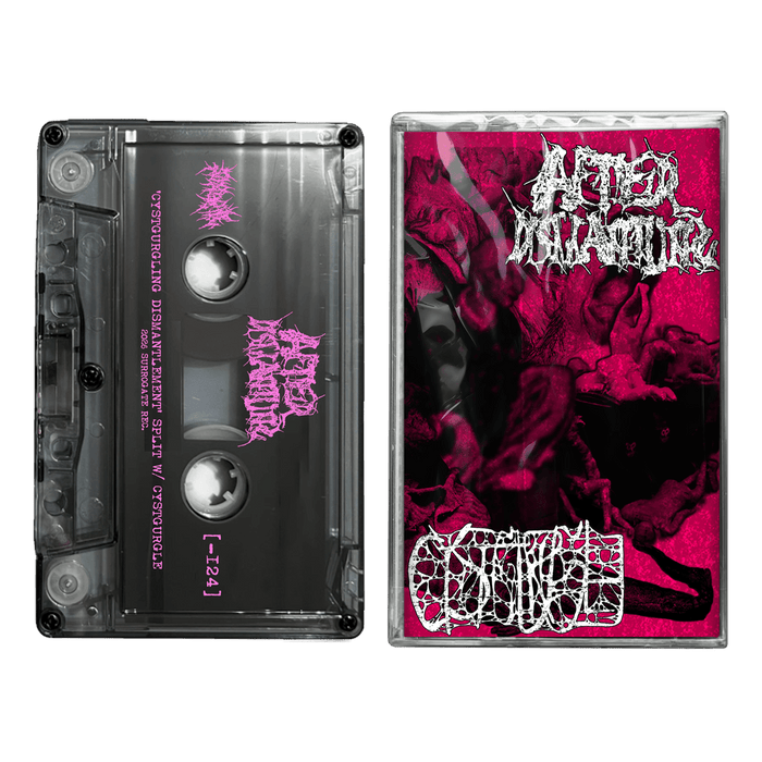 AfterDismantling / Cystgurgle - Cystgurgling Dismantlement (Split) (Cassette)