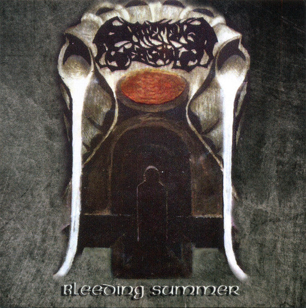 Different Seasons - Bleeding Summer (Vinyl)