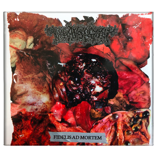 Thanatopsis - Fidelis Ad Mortem