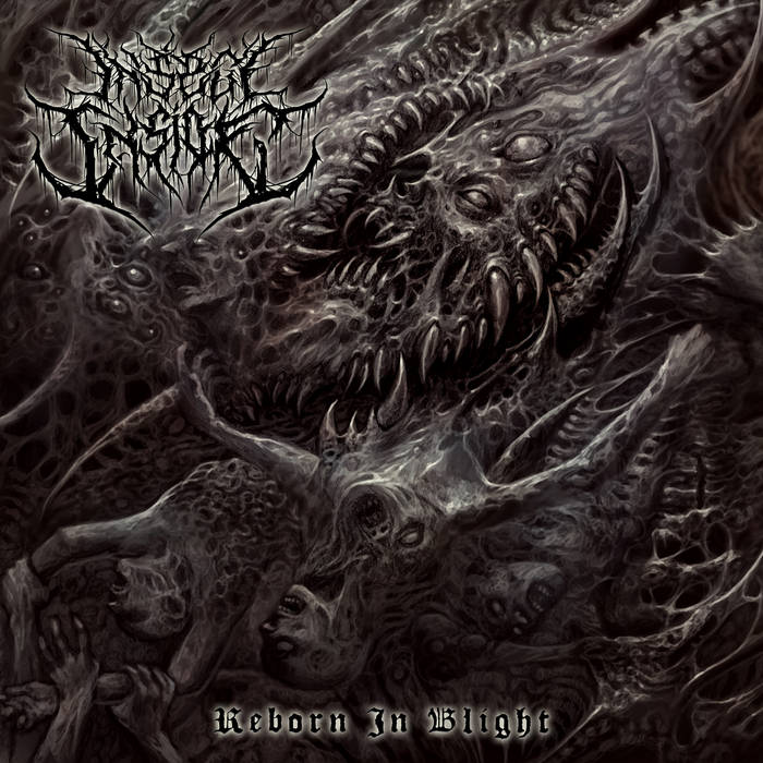 Insect Inside - Reborn In Blight