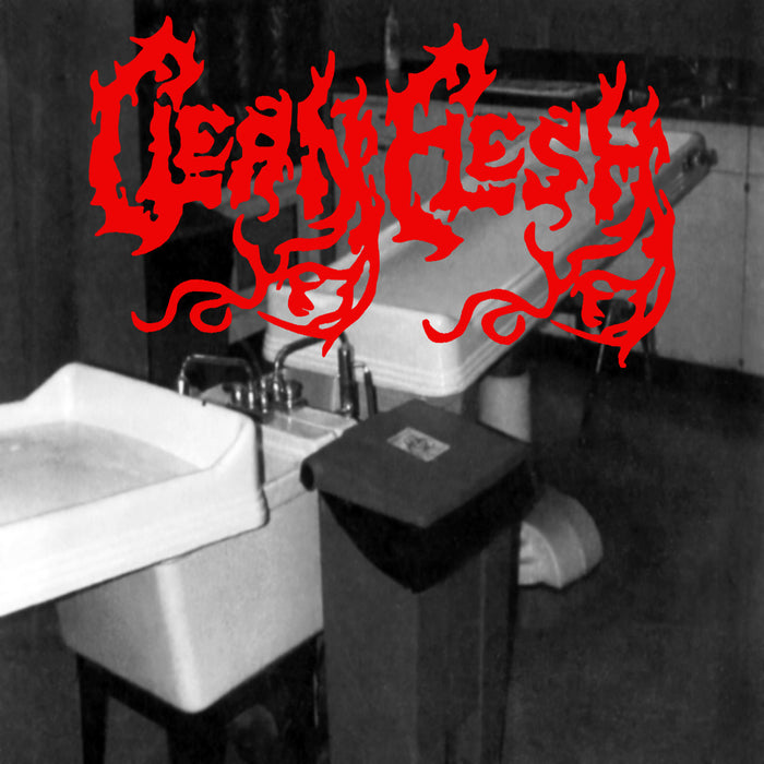 Clean Flesh - Clean Flesh (Vinyl)