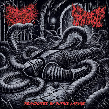 Desecrated Extinction / Hacked Up - Reanimated by Putrid Larvae