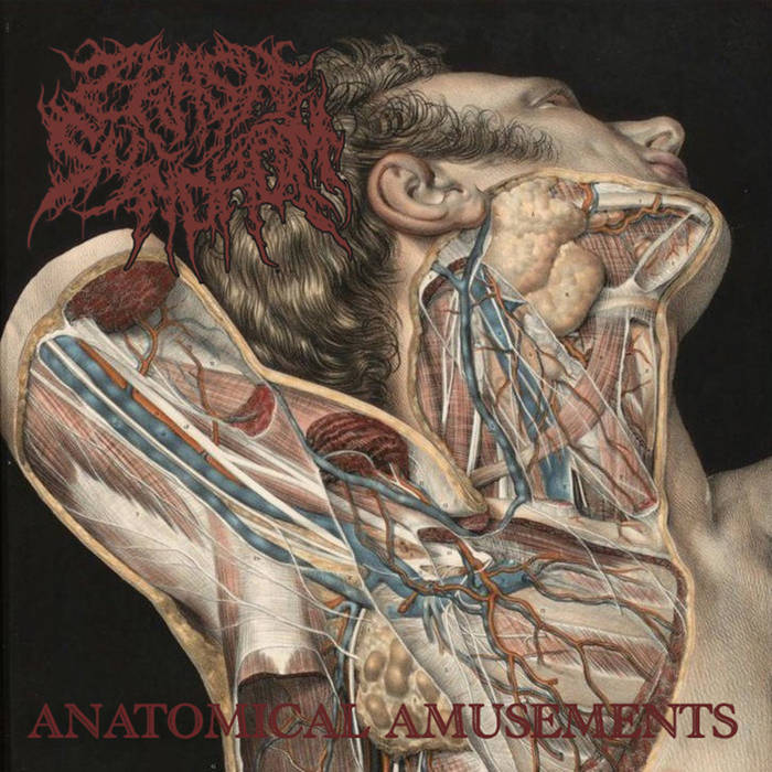 Crash Syndrom - Anatomical Amusements