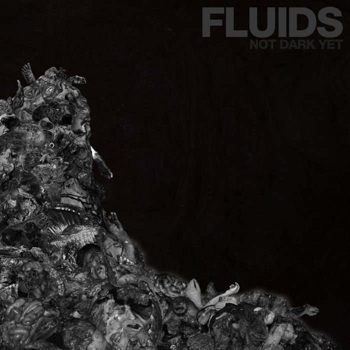 Fluids - Not Dark Yet