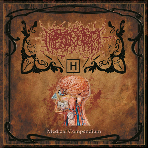 Hipermenorrea - Medical Compendium