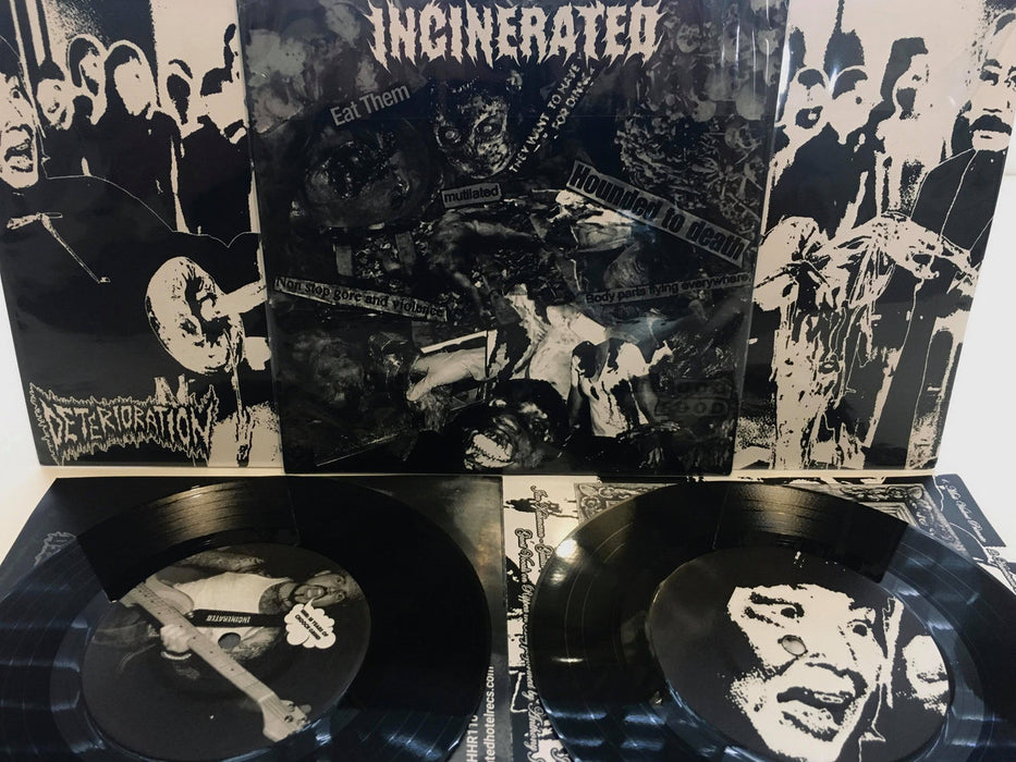 Incinerated / Deterioration - Split (Vinyl)